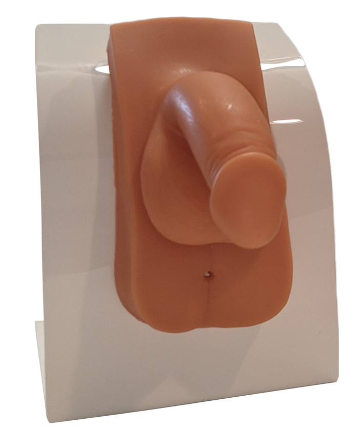 A flesh-toned penis model is attached to a white plastic stand.