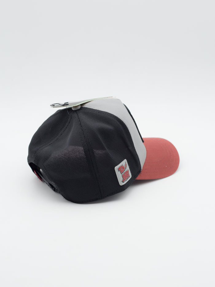 Looney Tunes Tom Trucker