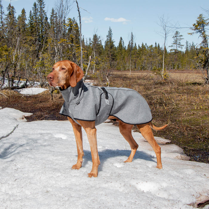 Nella Dog Coat with Iontex®, reflective trim, and extended tail coverage for comfort, warmth, and mobility