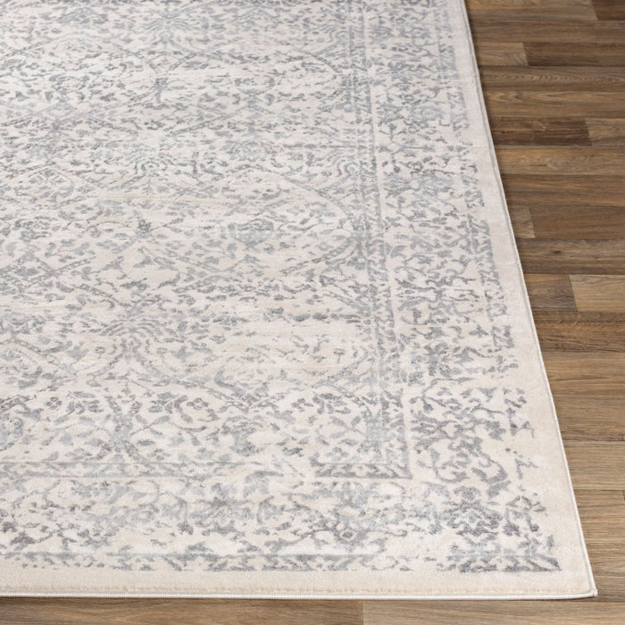 Tapis oriental gris / ivoire DeSoto 2'7" x10' Runner