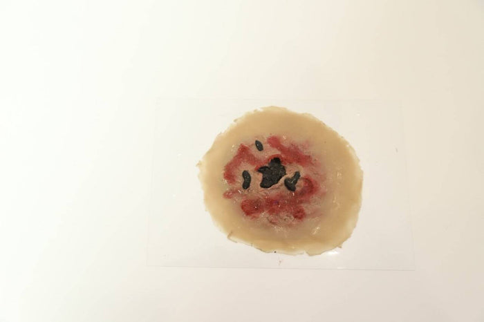 A simulated wound rests on a clear surface. It is flesh-toned with dark and red accents suggesting injury.