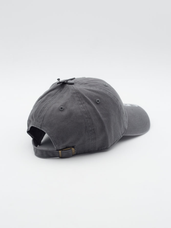 CLEAN UP Dog Teckel Grey