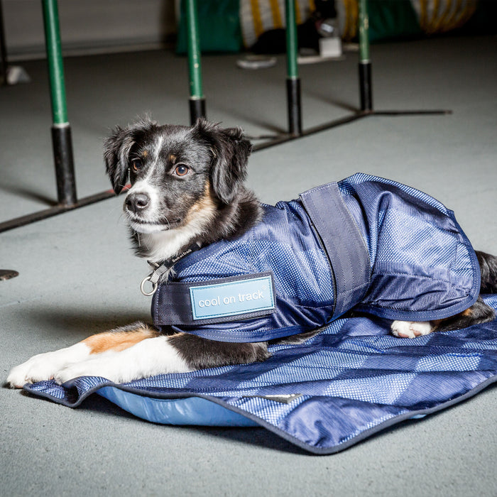Back on Track Cool on Track Dog Coat, lightweight and breathable design to keep dogs cool and comfortable in heat