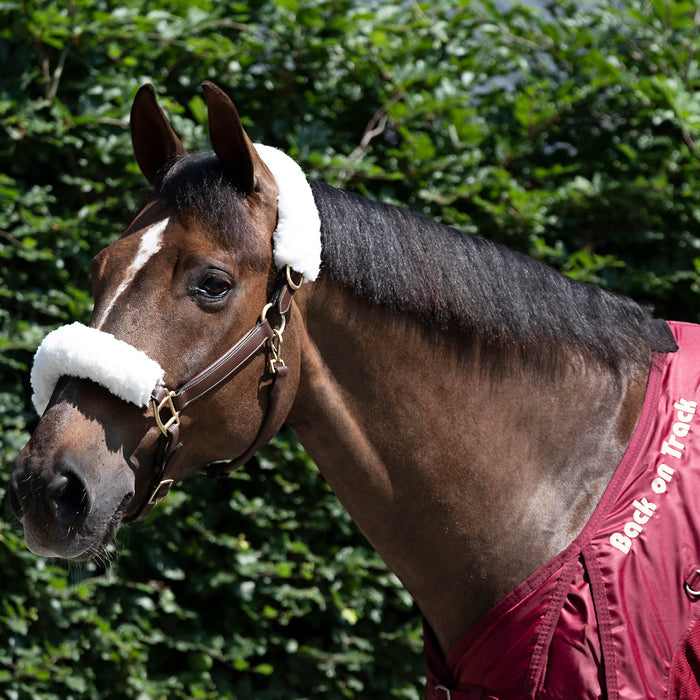Back on Track Fleece White Halter Cover – soft, protective cover for halters to prevent rubbing and enhance comfort
