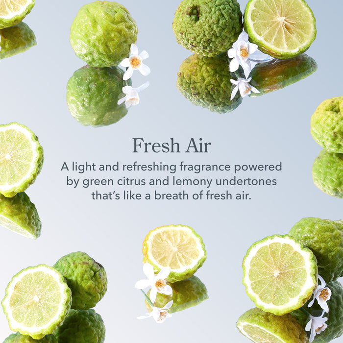Fresh Air 3-Pack Palm-Sized Bar Soap Set