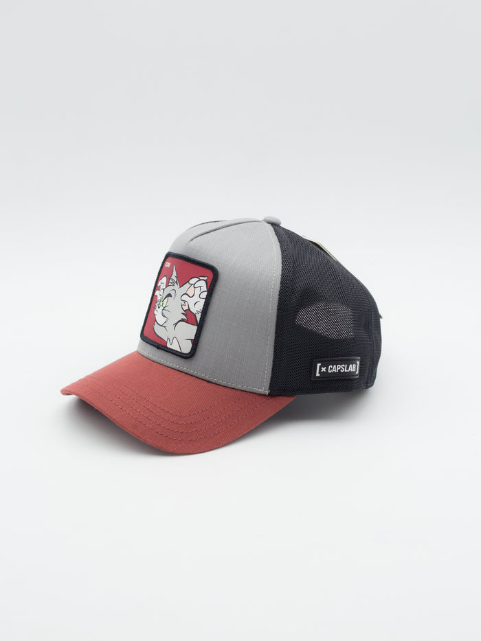Looney Tunes Tom Trucker