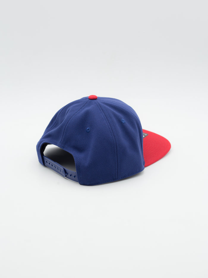 Pro Cap Chicago Cubs Snapback