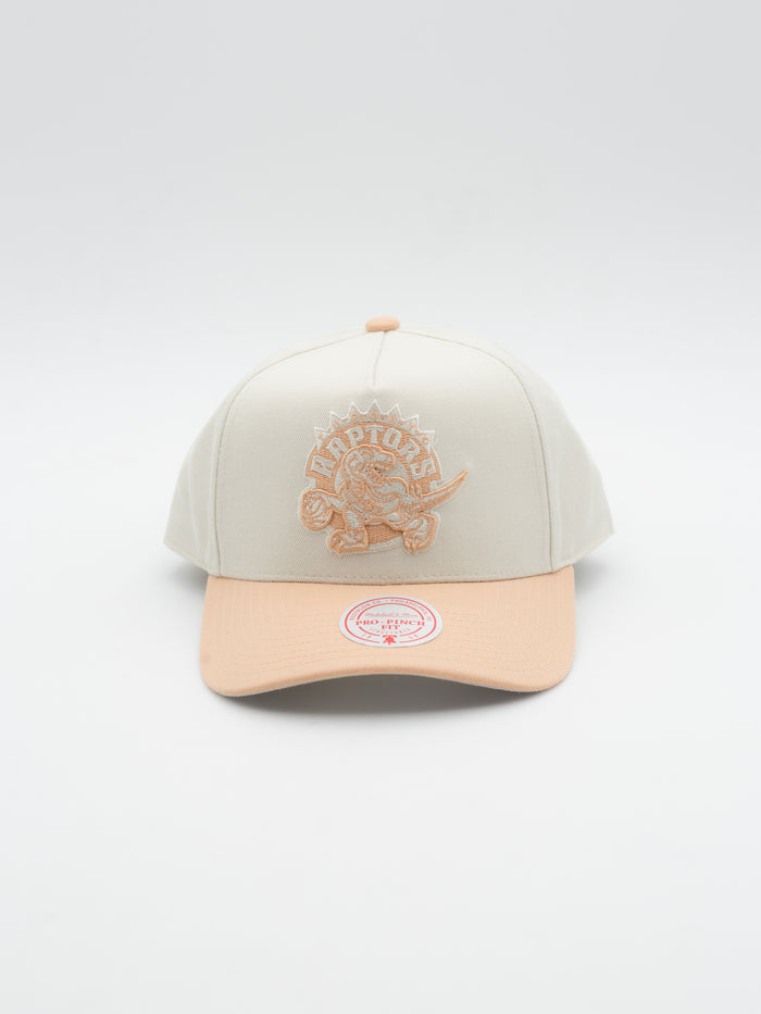 Pro Pinch Chalk Dust Toronto Raptors Snapback