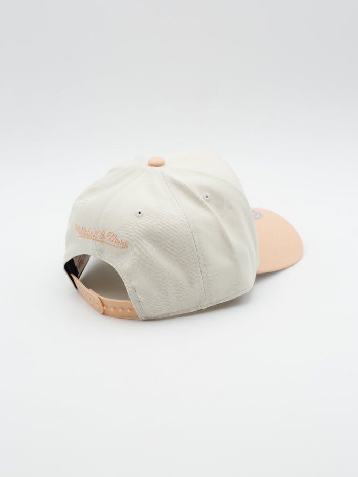 Pro Pinch Chalk Dust Toronto Raptors Snapback