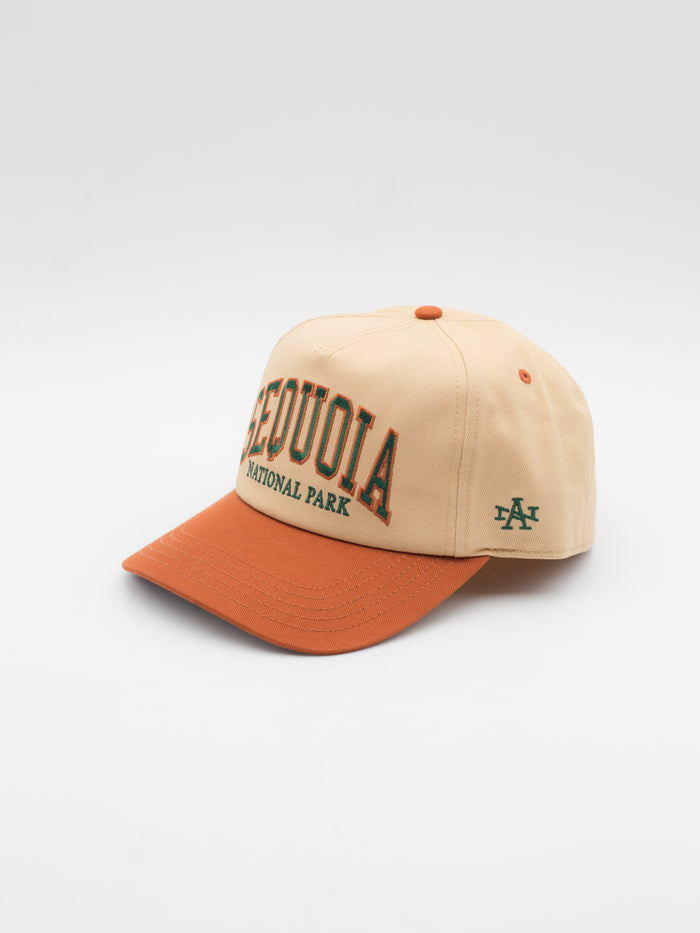 Roscoe Sequoia Snapback