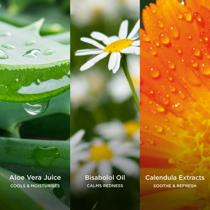 Three-panel ingredient image featuring aloe vera gel with water droplets, bisabolol-rich chamomile flowers, and vibrant calendula petals, representing soothing and calming botanical ingredients for skin comfort.