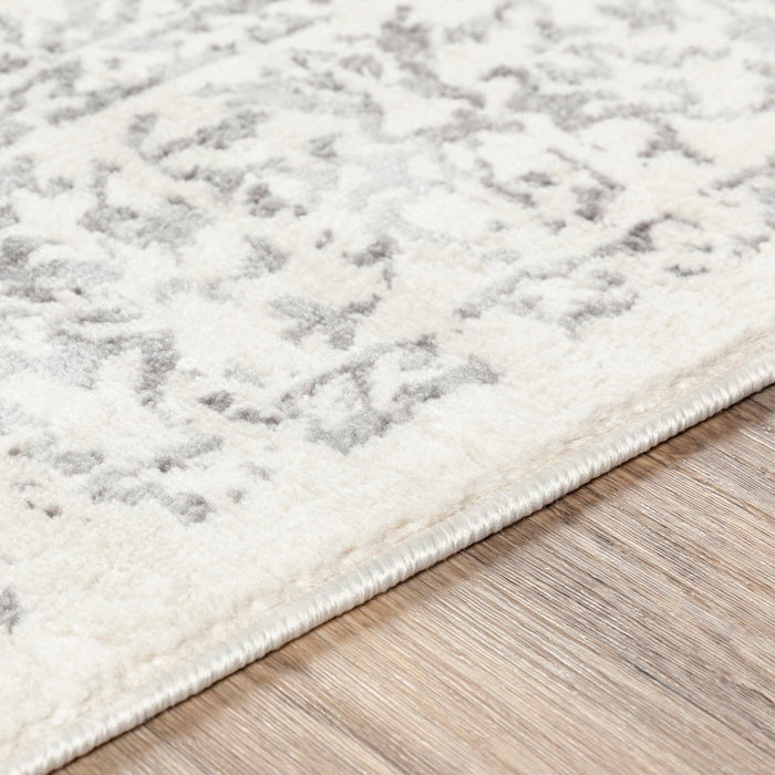 Tapis oriental gris / ivoire DeSoto 2'7" x10' Runner